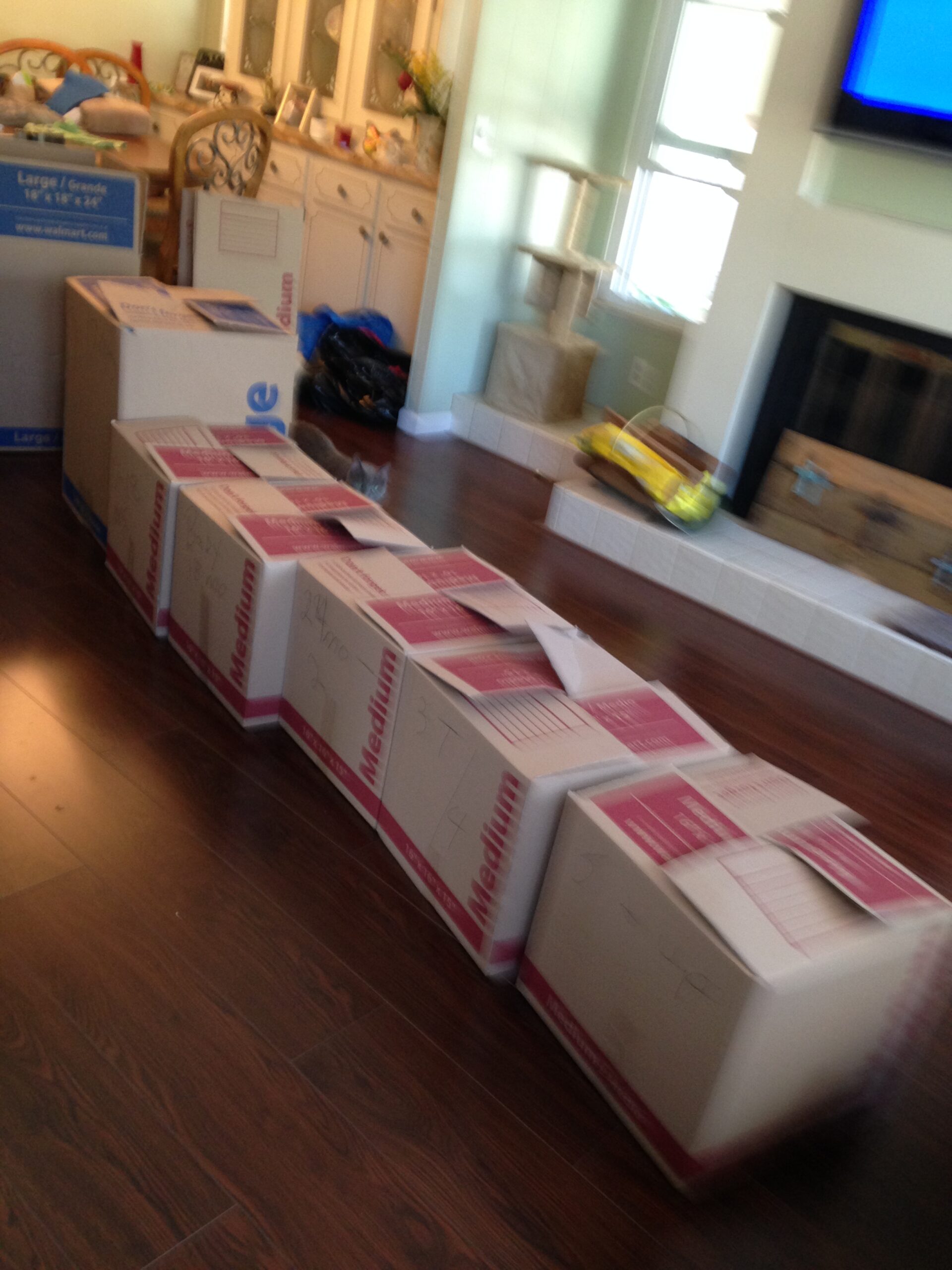 Volunteers come together for Bithlo Clothing and Food Drive